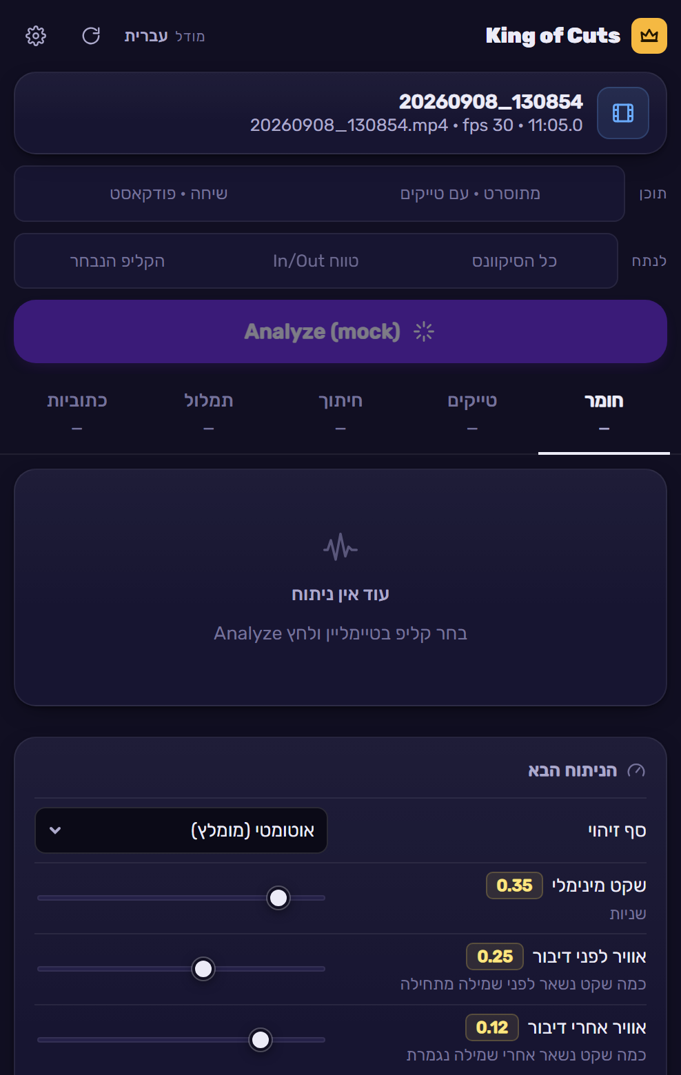 הפאנל לפני ניתוח: הקליפ שנבחר, מה לנתח וכפתור Analyze