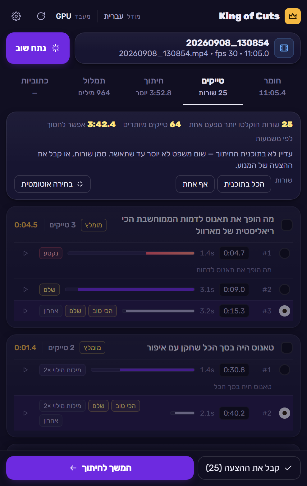 לשונית הטייקים: כל שורה עם הטייקים שלה, דירוג וסיבות